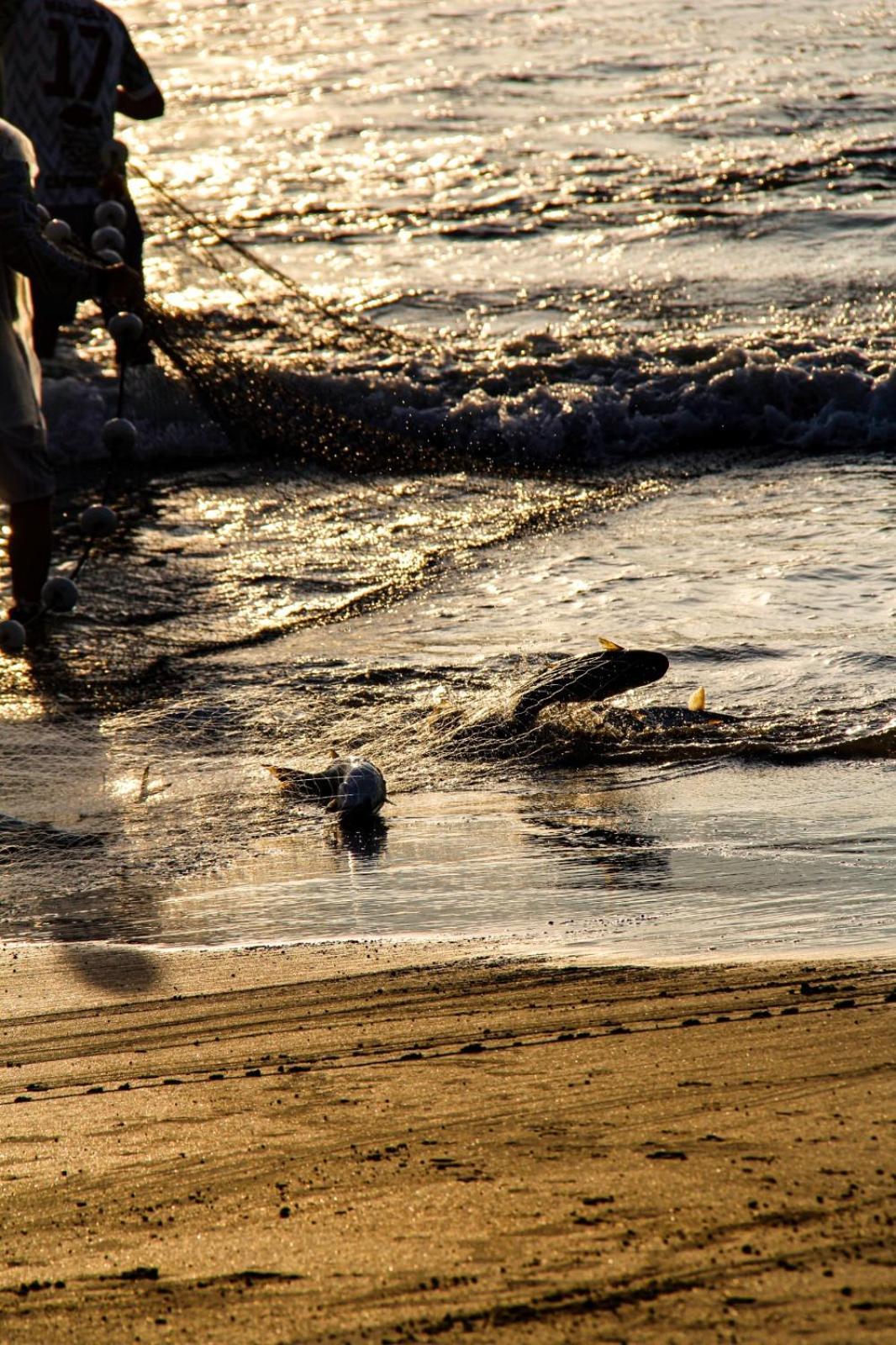 Ap Mar Azul Praia Grande Gov Celso Ramos Governador Celso Ramos Buitenkant foto